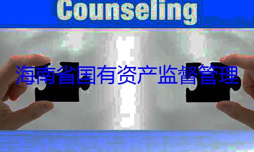 海南省国有委副书记王资产监督管有福接受审查调查理委员会党